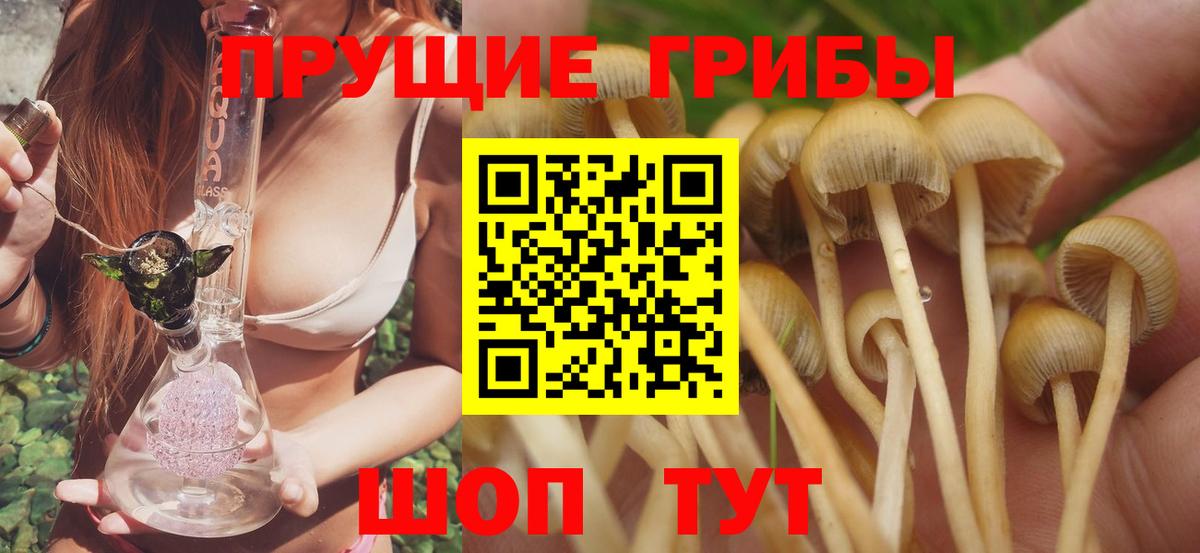 Псилоцибиновые грибы Psilocybe  Вход с VPN  Псилоцибиновые грибы MAGIC MUSHROOMS  Борисоглебск 